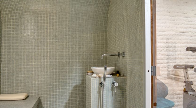 Photo of The Fox in the Snow