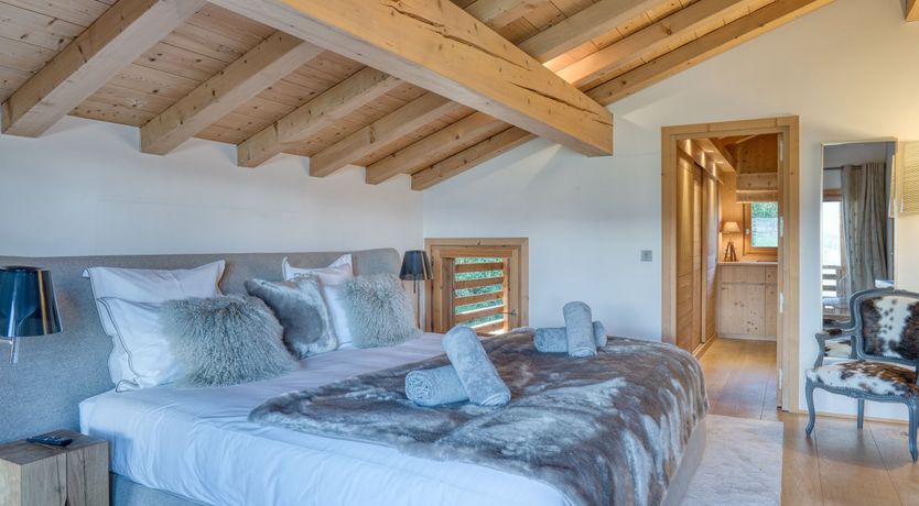 Photo of The Fox in the Snow