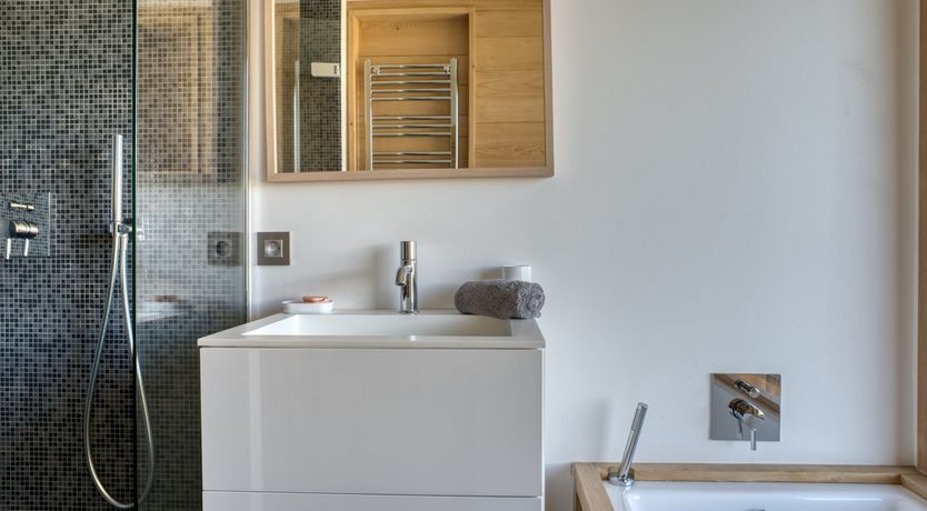 Photo of The Fox in the Snow