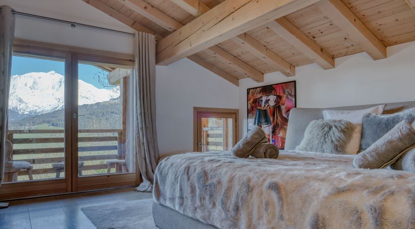 Photo of The Fox in the Snow