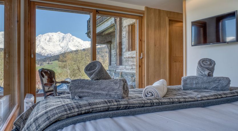 Photo of The Fox in the Snow