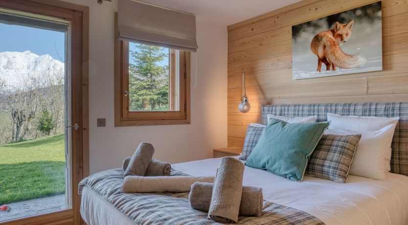 Photo of The Fox in the Snow