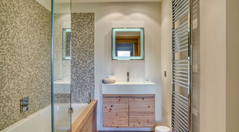 Photo of The Fox in the Snow