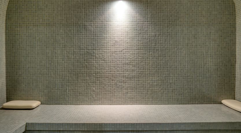 Photo of The Fox in the Snow