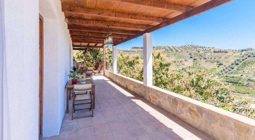 Photo of The Cream Canopy