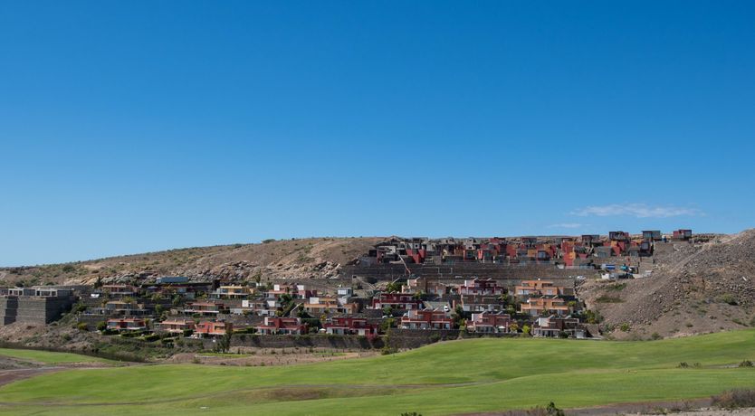 Photo of Birdies & Canaries