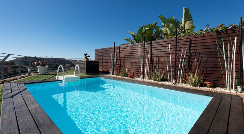 Photo of Birdies & Canaries