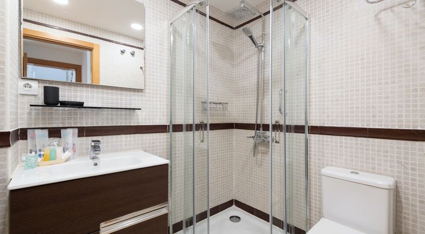 Photo of Birdies & Canaries