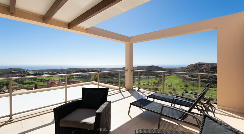 Photo of Birdies & Canaries