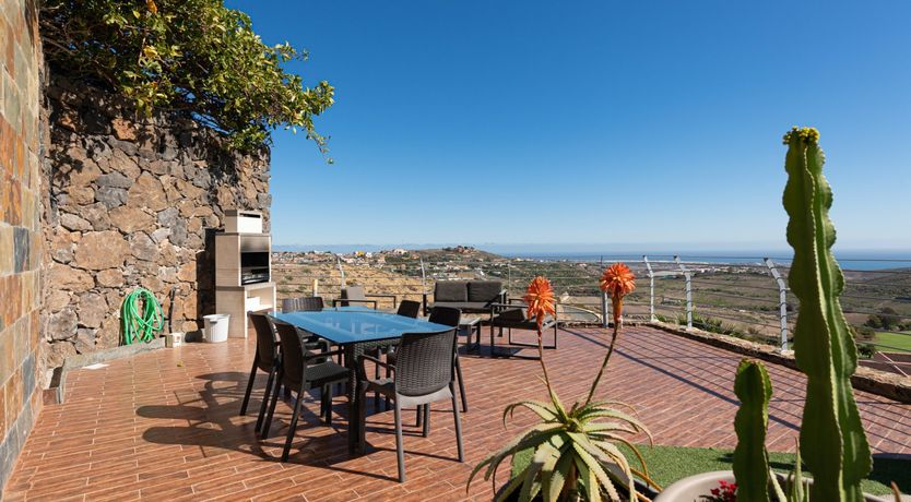 Photo of Birdies & Canaries