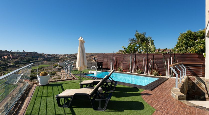 Photo of Birdies & Canaries