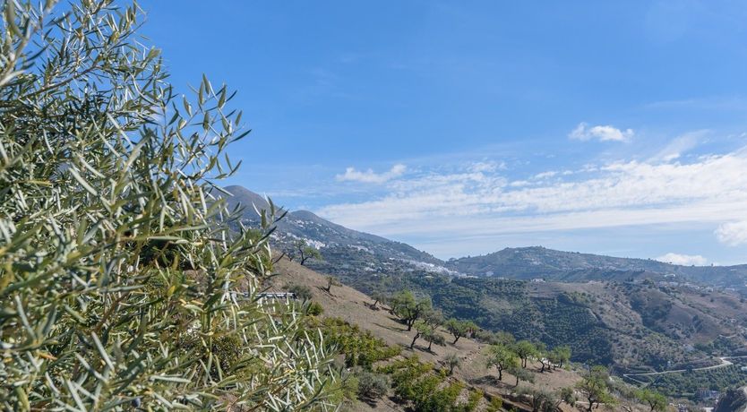 Photo of Ruggedly Handsome