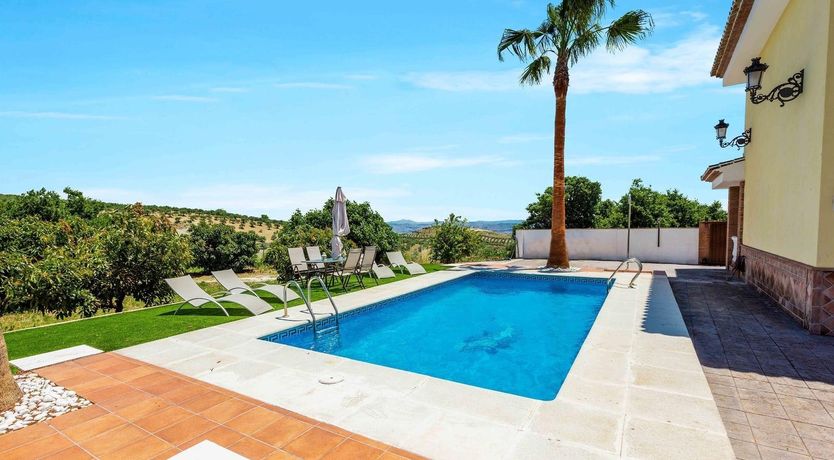 Photo of Buttercup Blue