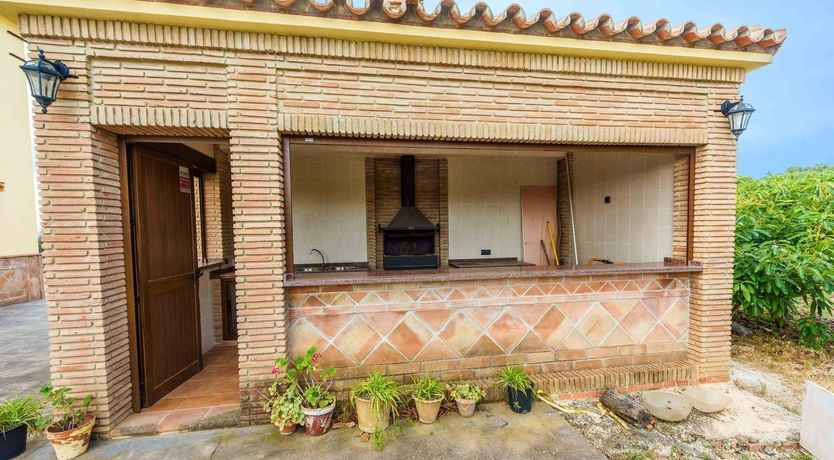 Photo of Buttercup Blue