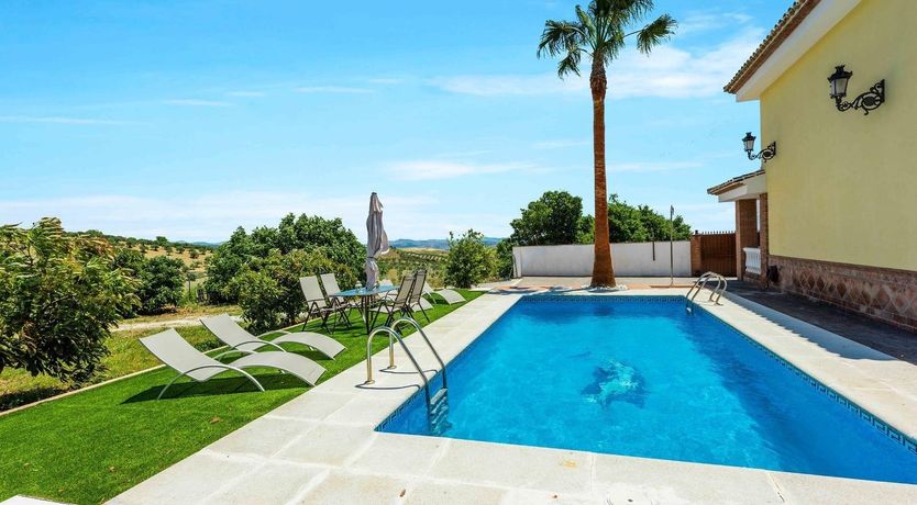 Photo of Buttercup Blue