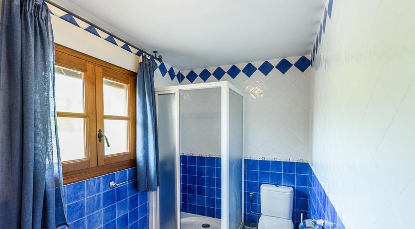 Photo of Buttercup Blue