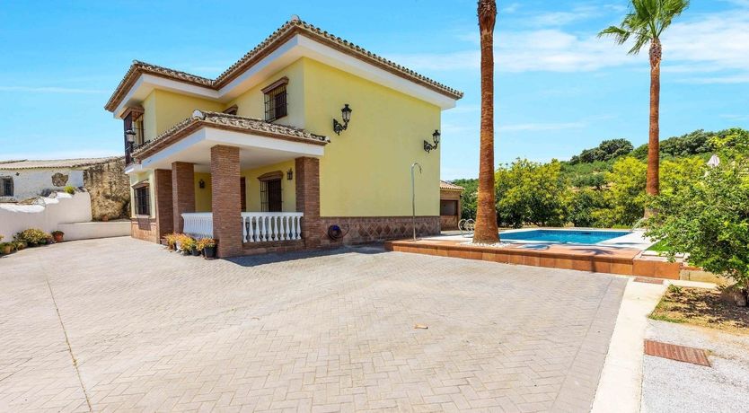 Photo of Buttercup Blue