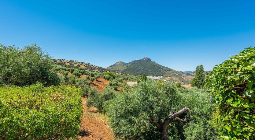 Photo of Sweet Sierra