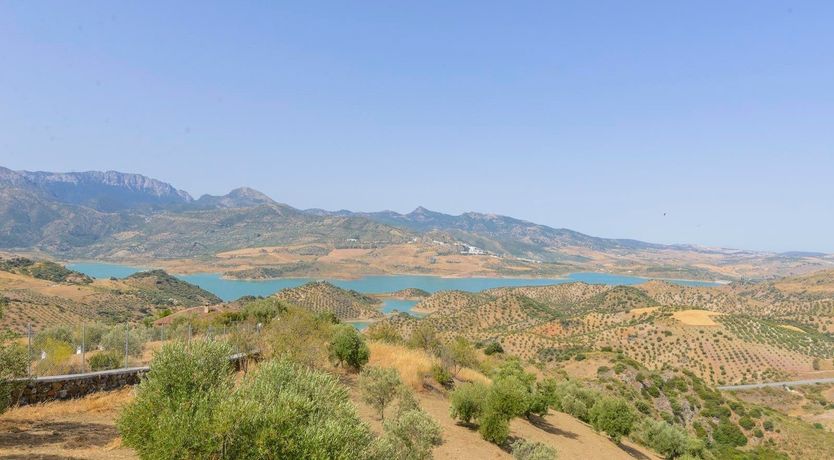 Photo of Moved by Mountains