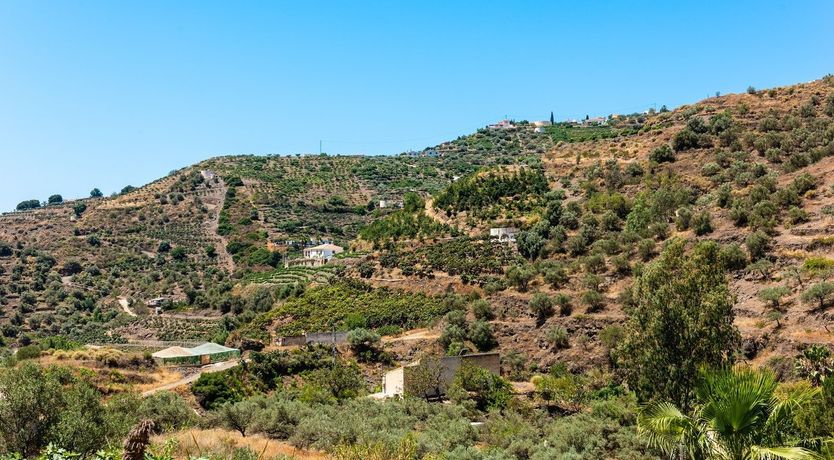 Photo of New Traditions