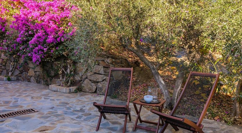 Photo of Gazing at Blue Horizons