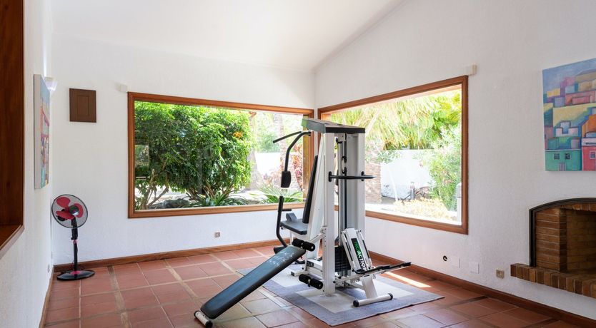 Photo of Yellow Stars