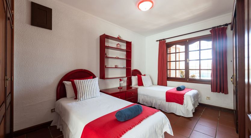 Photo of Yellow Stars