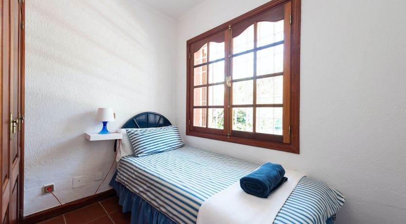 Photo of Yellow Stars