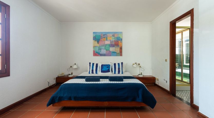 Photo of Yellow Stars