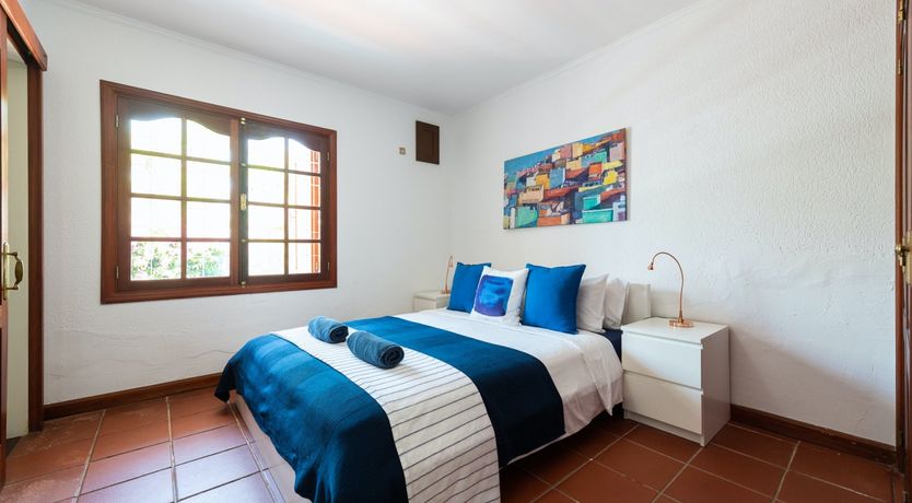 Photo of Yellow Stars