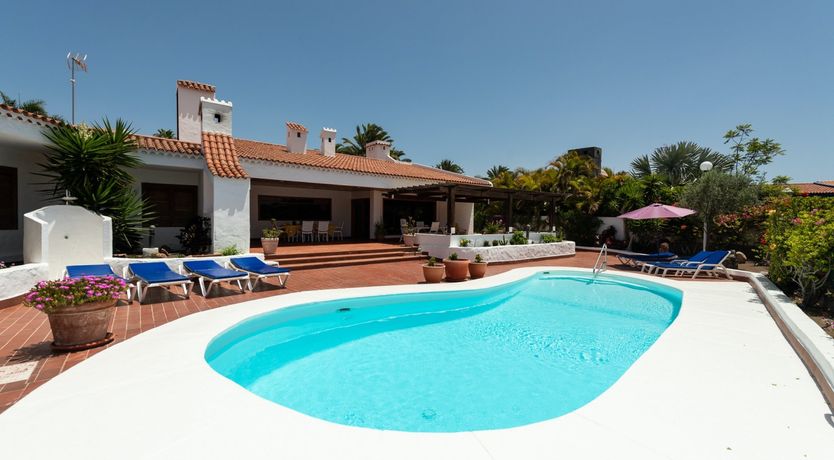 Photo of Yellow Stars