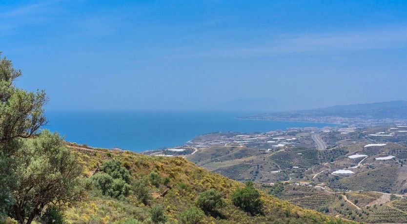 Photo of The Dreamer's Casita