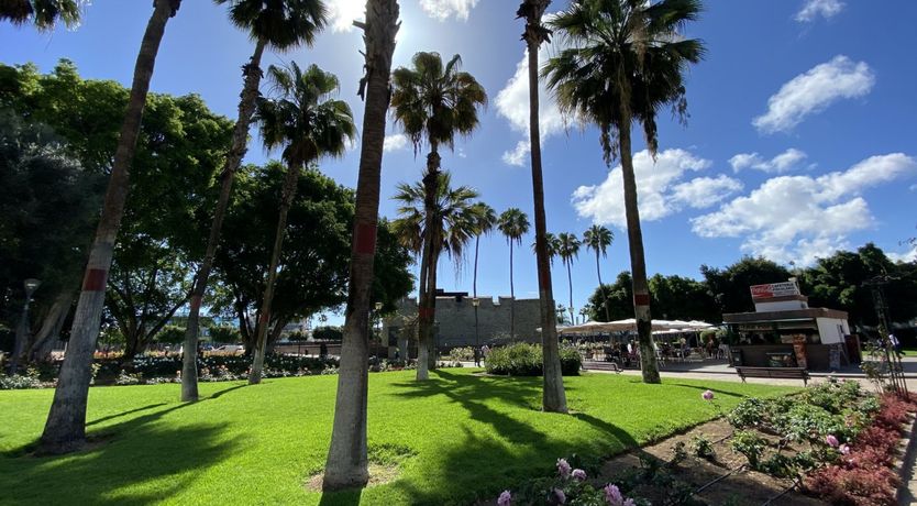 Photo of Floral Breeze