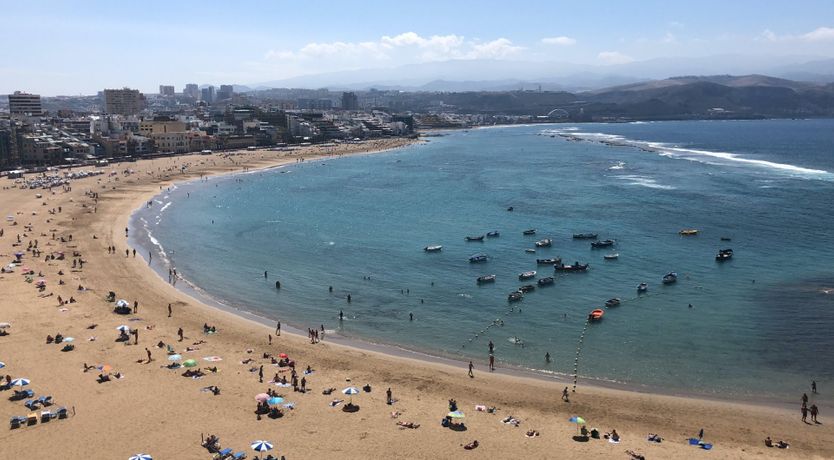 Photo of Floral Breeze