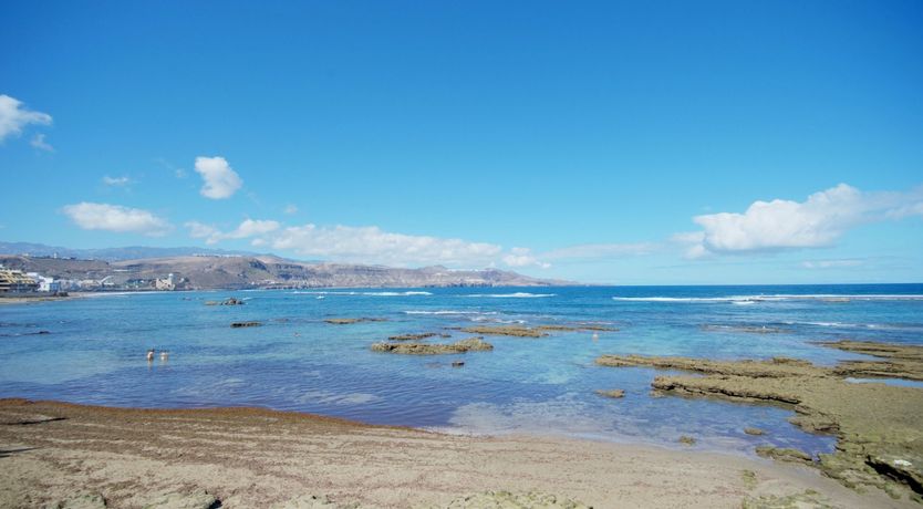 Photo of Floral Breeze