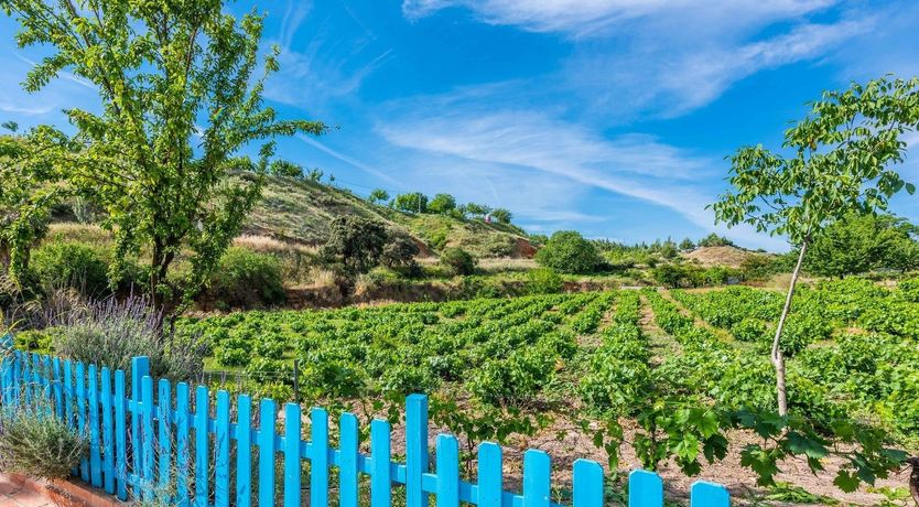 Photo of Slow Things Down