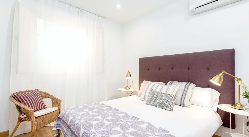 Photo of Gazania Bloom