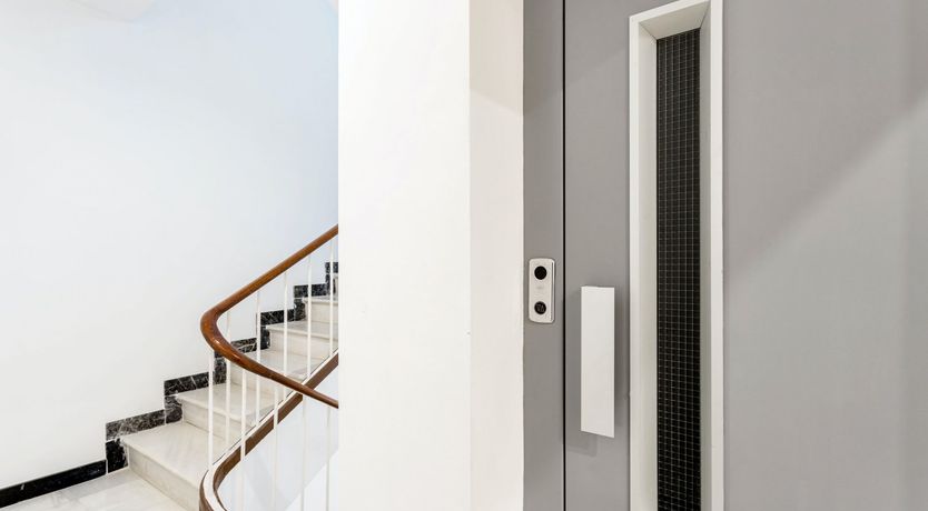 Photo of Gazania Bloom