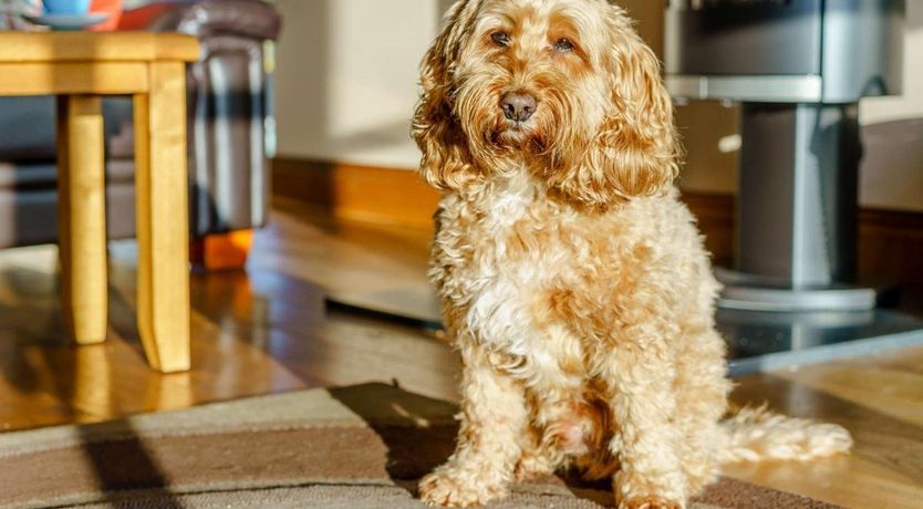 Photo of 4 Bed in Broughton in Furness