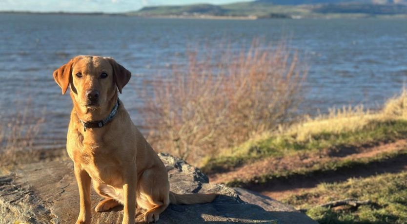 Photo of 5 Bed in Askam-in-Furness