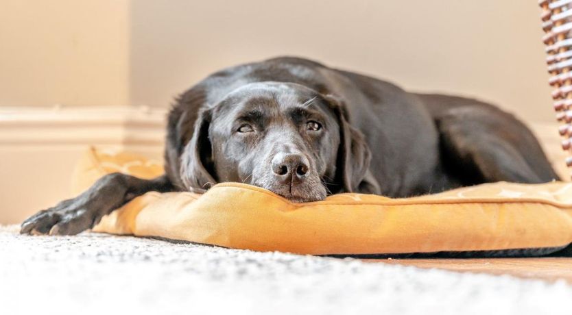 Photo of 3 Bed in Keswick