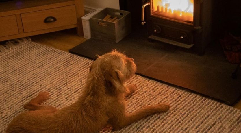 Photo of 3 Bed in Lockerbie