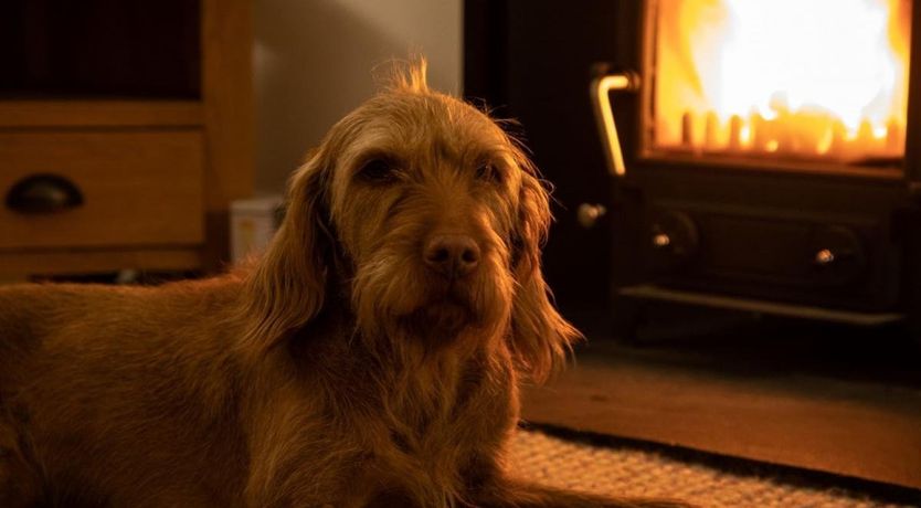 Photo of 3 Bed in Lockerbie