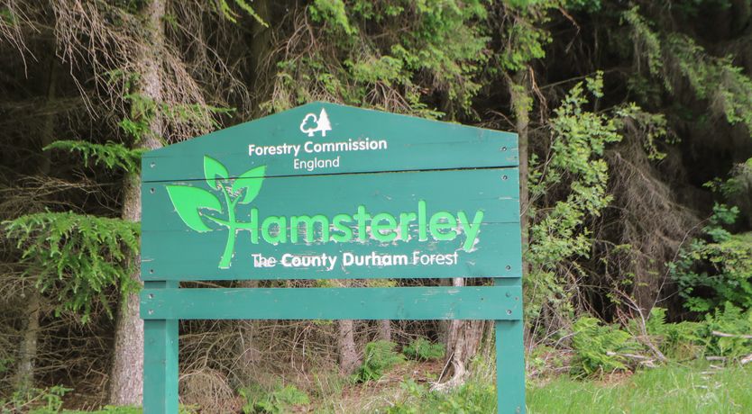 Photo of 3 Mill Wynd