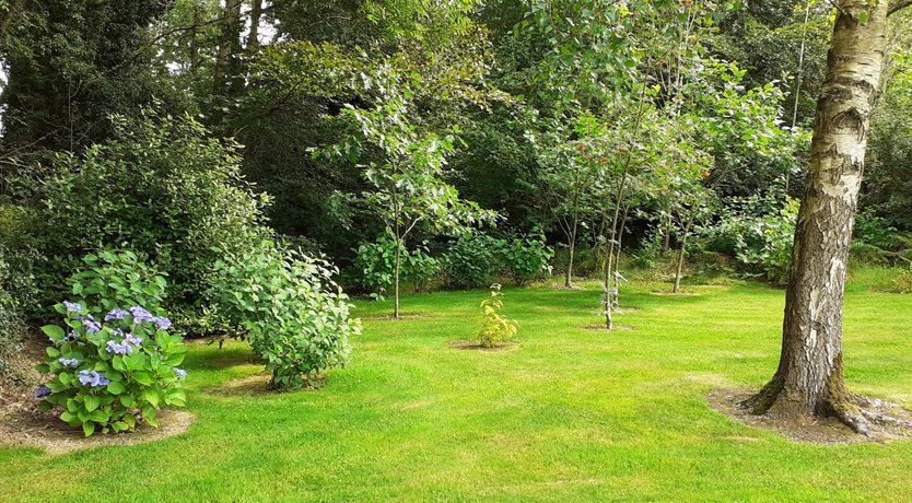 Photo of Cornode Cottage