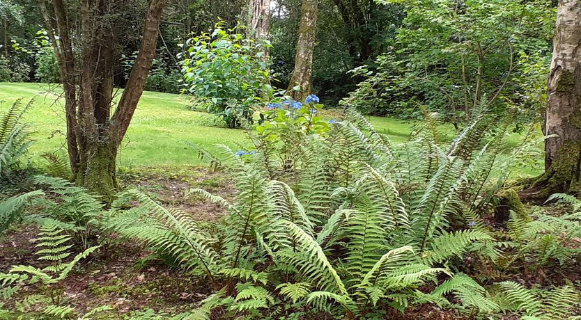 Photo of Cornode Cottage