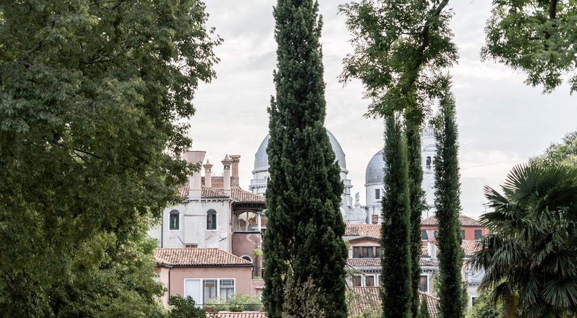 Photo of The Last Romantic