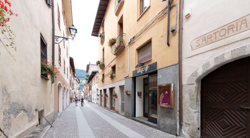 Photo of Stag on the Mountain