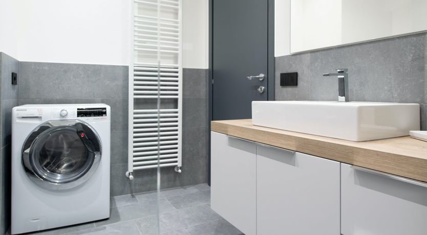 Photo of Stag on the Mountain