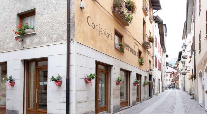 Photo of Stag on the Mountain